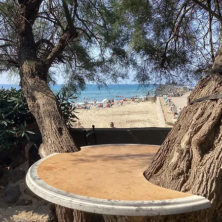 Front De Cap D'agde Agde